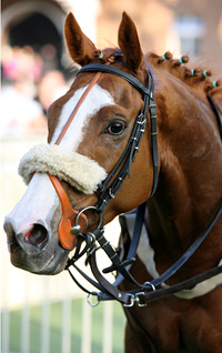 Skin Man im Portrait  - Foto: Sandra Scherning