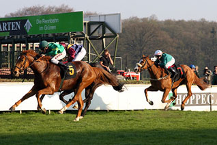 Ein ungef&auml;hrdeter dritter Platz  - Foto: Sandra Scherning