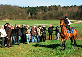 Zu Besuch im Rennstall bei Christian von der Recke